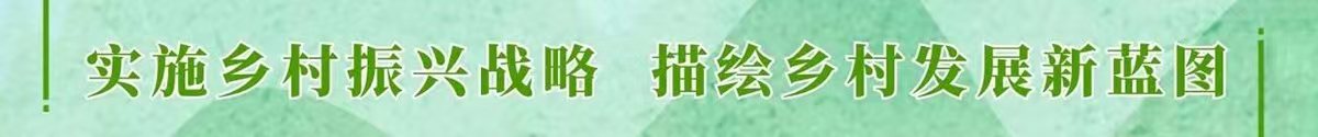 2021年網民網絡安全滿意度調查